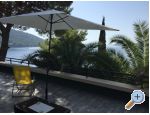 Villa Separovic ostrov Lastovo Chorwacja