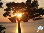 Apartman Pavlinovic 5+1 Makarska Chorwacja