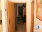 Apartman Viskovi� Makarska Chorwacja