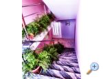 Villa Jelena Marina – Trogir Chorwacja