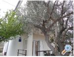 Apartman Visnja Murter Chorwacja