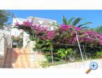 Apartman-hotel MacAdams Novalja – Pag Chorwacja