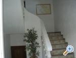 Apartmens Frljak Novalja – Pag Chorwacja