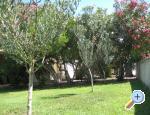 Apartments Suljic family Novalja � Pag Chorwacja