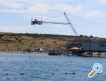 Artneo apartments Novalja � Pag Chorwacja