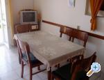 Kiwi Apartments Novigrad Chorwacja