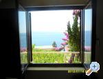 Apartmani NIKO Omiš Chorwacja