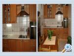 Apartman Tisa Chorwacja