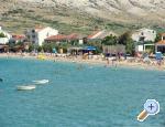 Apartmani  Sv.Jelena ostrov Pag Chorwacja