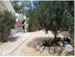 Apartments Dona Pag ostrov Pag Chorwacja