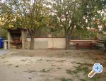Aparmani Žile Starigrad Paklenica Chorwacja