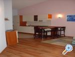 apartmani antonita Starigrad Paklenica Chorwacja