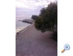 Apartm�ny Vitrenik Starigrad Paklenica Chorwacja