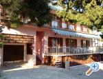 Apartmani Mare Monti Chorwacja