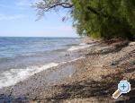 Pansion Andelko Starigrad Paklenica Chorwacja