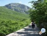 Villa Mirta Starigrad Paklenica Chorwacja