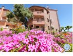 Apartmani Dalmatino Pako�tane Pako�tane Chorwacja
