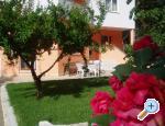 Apartmani Karaba Pakoštane Chorwacja