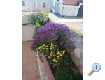Apartmani imun Pakotane Chorwacja