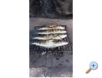 Apartmani imun Pakotane Chorwacja