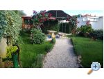 Apartmani PIPI Chorwacja