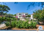 Apartments Pedi�i� ostrov Pa�man Chorwacja
