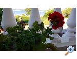 Apartments Nena ostrov Pa�man Chorwacja