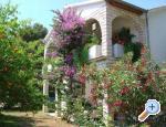Apartmani Bogeljic Chorwacja