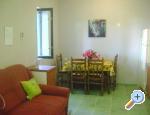 Apartmani Bogeljic Petrčane Chorwacja