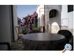 Apartmani Mandaric Petrčane Chorwacja