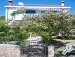 Apartmani Petra Petrčane Chorwacja