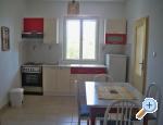 Apartmani Petra Petrčane Chorwacja