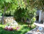 Apartmani Petra Petrčane Chorwacja