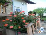 Apartmani i sobe Plitvice Kriz Plitvice Chorwacja