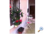 Podstrana - Apartmani Sara Car Podstrana Chorwacja