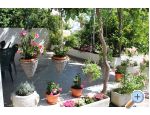 Podstrana - Apartmani Sara Car Podstrana Chorwacja