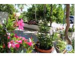 Podstrana - Apartmani Sara Car Podstrana Chorwacja