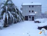 Apartmani Toni Podstrana Chorwacja