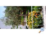 Apartmány Mriĉ Podstrana Chorwacja