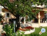 Apartm�ny Sara i Nino Podstrana Chorwacja