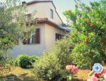 Apartman Nadia Chorwacja
