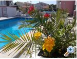 Apartmani Kikić Istra-Poreč Chorwacja