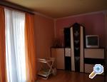 Apartmani Kikić Istra-Poreč Poreč Chorwacja
