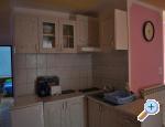 Apartmani Kikić Istra-Poreč Poreč Chorwacja