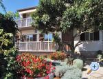 Apartmani Tina Poreč Chorwacja