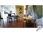 Apartmani Gjardini *** Primošten Chorwacja