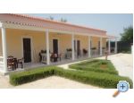 Apartmani Ankica Privlaka Chorwacja