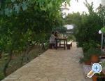 Apartmani Mare & Berto Privlaka Chorwacja
