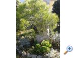 Apartmani Mare & Berto Privlaka Chorwacja