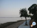 Apartmani Mare & Berto Privlaka Chorwacja